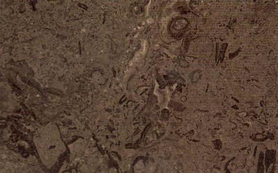 Moon Valley-LD206