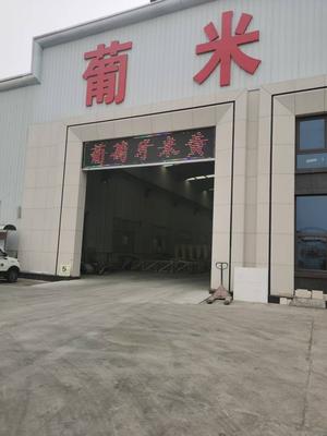 微信图片_20250303215411.jpg