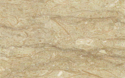 Shampoo Beige-LD158
