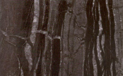 Antiquity Wood Grain-LD205